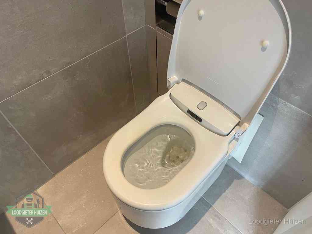 Wc Verstopt In Huizen Wc Verstopt In Huizen